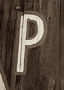 Wall_Art_Alphabet_Photography_Art_ 1795